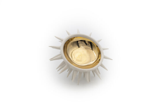 Sea Urchin Internal Gold