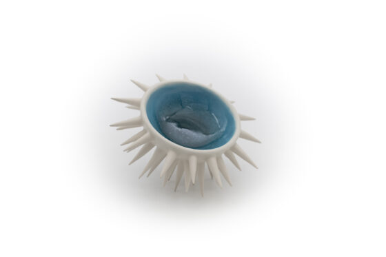 Sea Urchin Varius Color