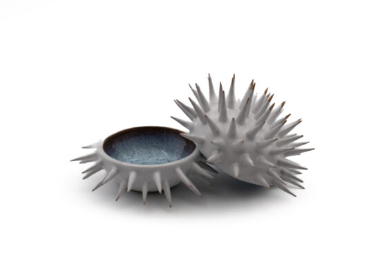 Bowl Urchin Varius Color