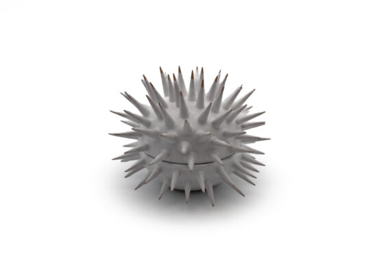 Bowl Urchin Varius Color - Image 3