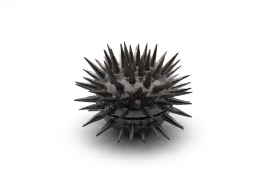 Bowl Urchin Varius Color - Image 4