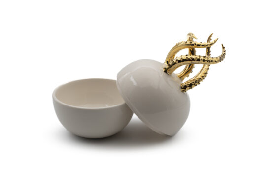 Octopus Box Gold