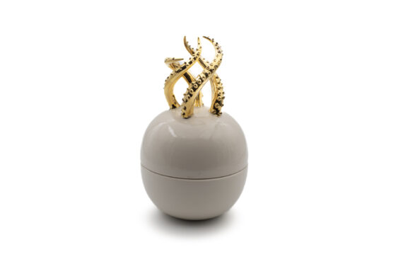 Octopus Box Gold - Image 2