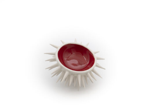 Sea Urchin Varius Color - Image 2